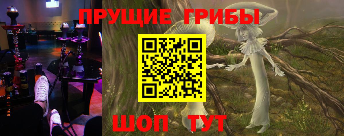 Псилоцибиновые грибы MAGIC MUSHROOMS  Вход с VPN  Добрянка 